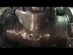 ASME API Standartı WCB CF8 CF8M Su Buharı ve Yağ Kullanımı için Swing Check Valve