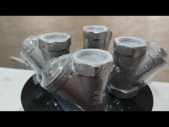 800PSI Paslanmaz çelik 304 316 CF8 CF8M BSP NPT Kadın Dönerli Y Tipi Süzücü