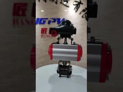 Pnömatik Etkinleştirici Yürütülen WCB NPT BSP Filtred 3PC Top Valfı