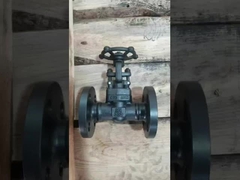 Su Buharı Yağı / Koroziv Sıvılar için dökme çelik paslanmaz çelik dövme kapı valfi