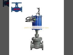 Z641H-16C Pnömatik Kapı Valfi