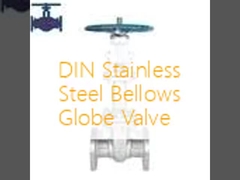 DIN Paslanmaz Çelik Bellows Globe Valve